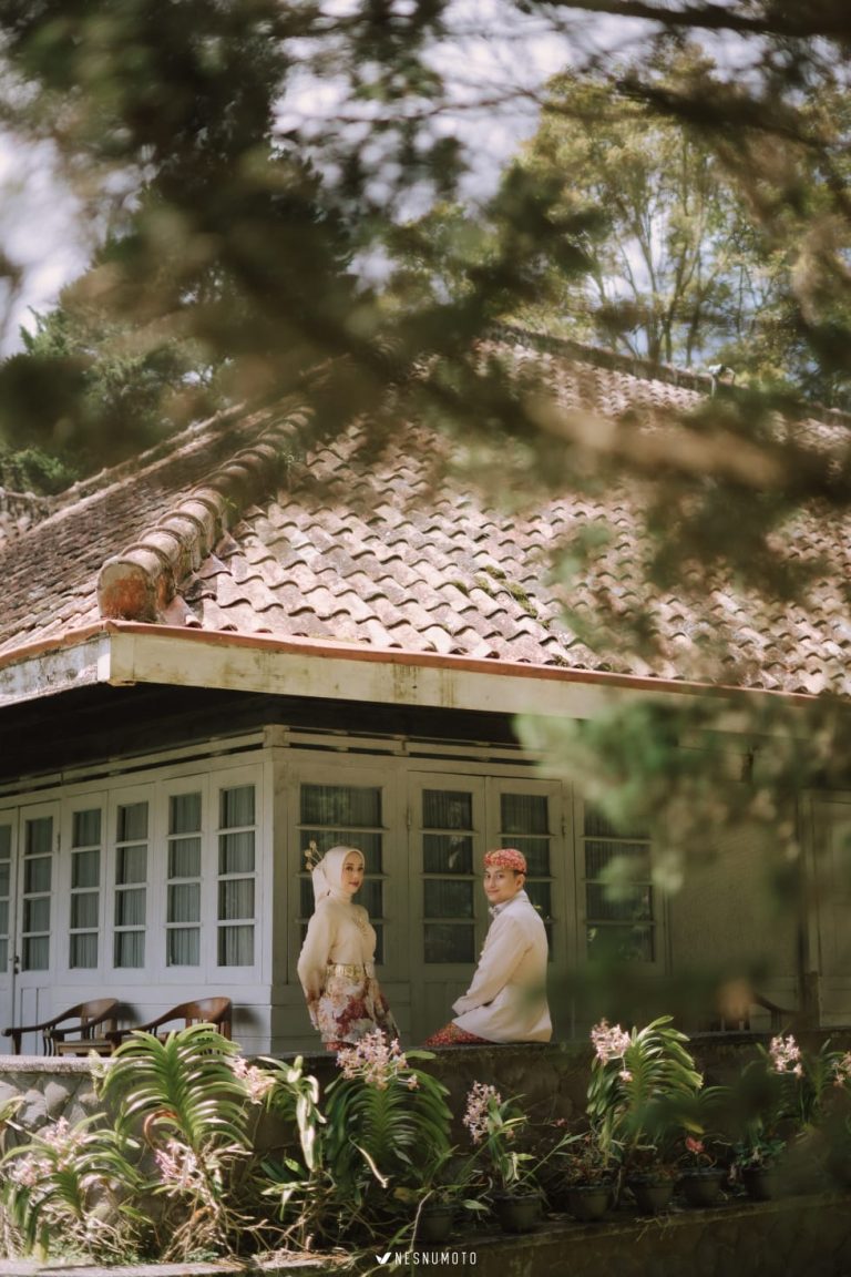 WhatsApp Image 2025-10-06 at 16.29.29 (1)